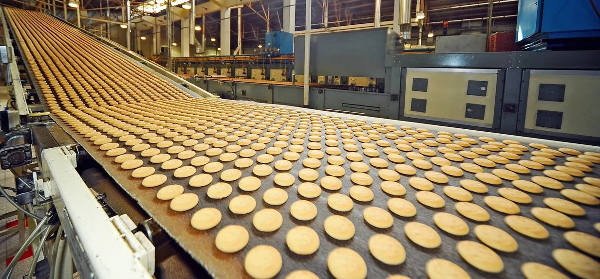 Food Processing Moulds